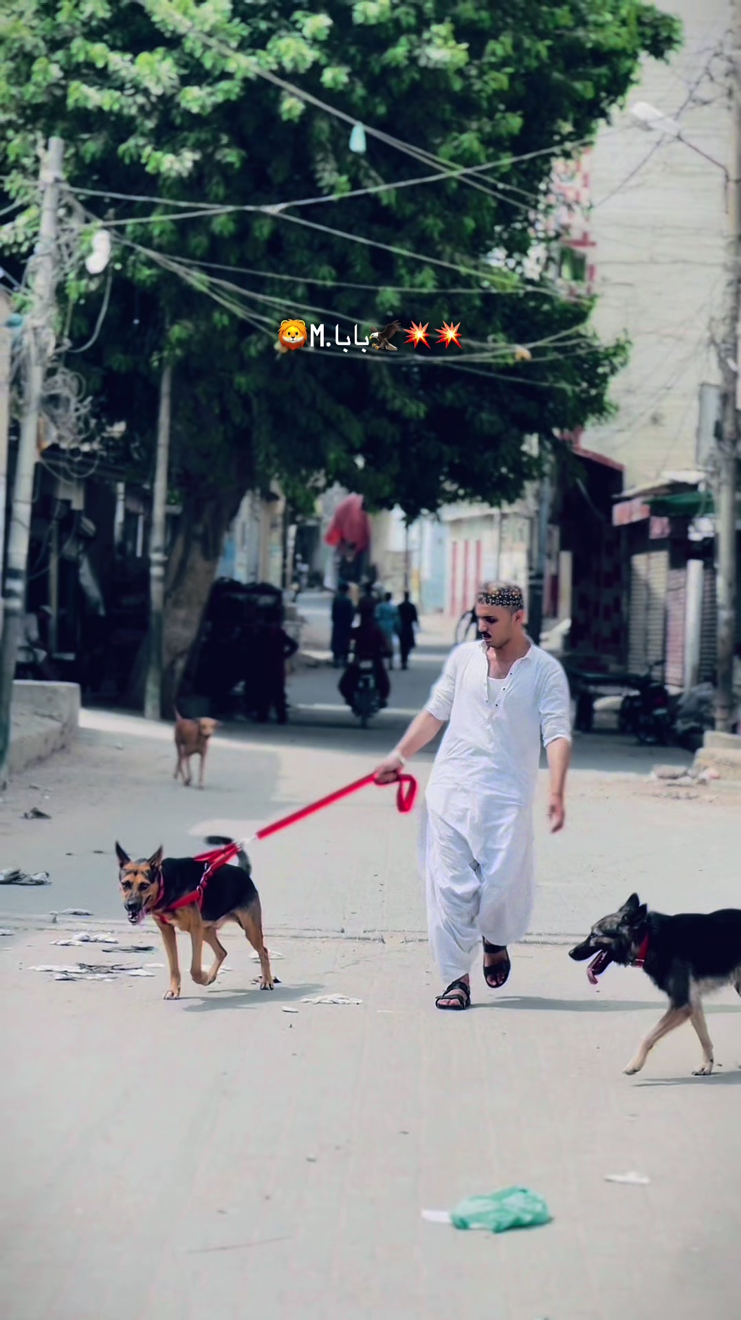 @(مان بابا)🦅💥🦁 M❤️H