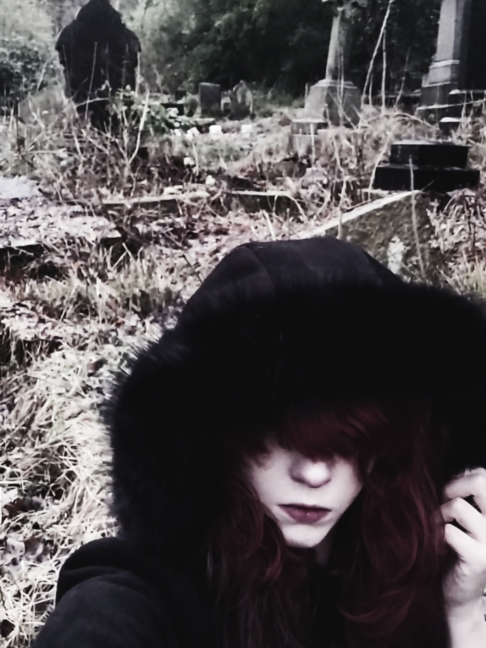 @♱arantula⸸G1rl