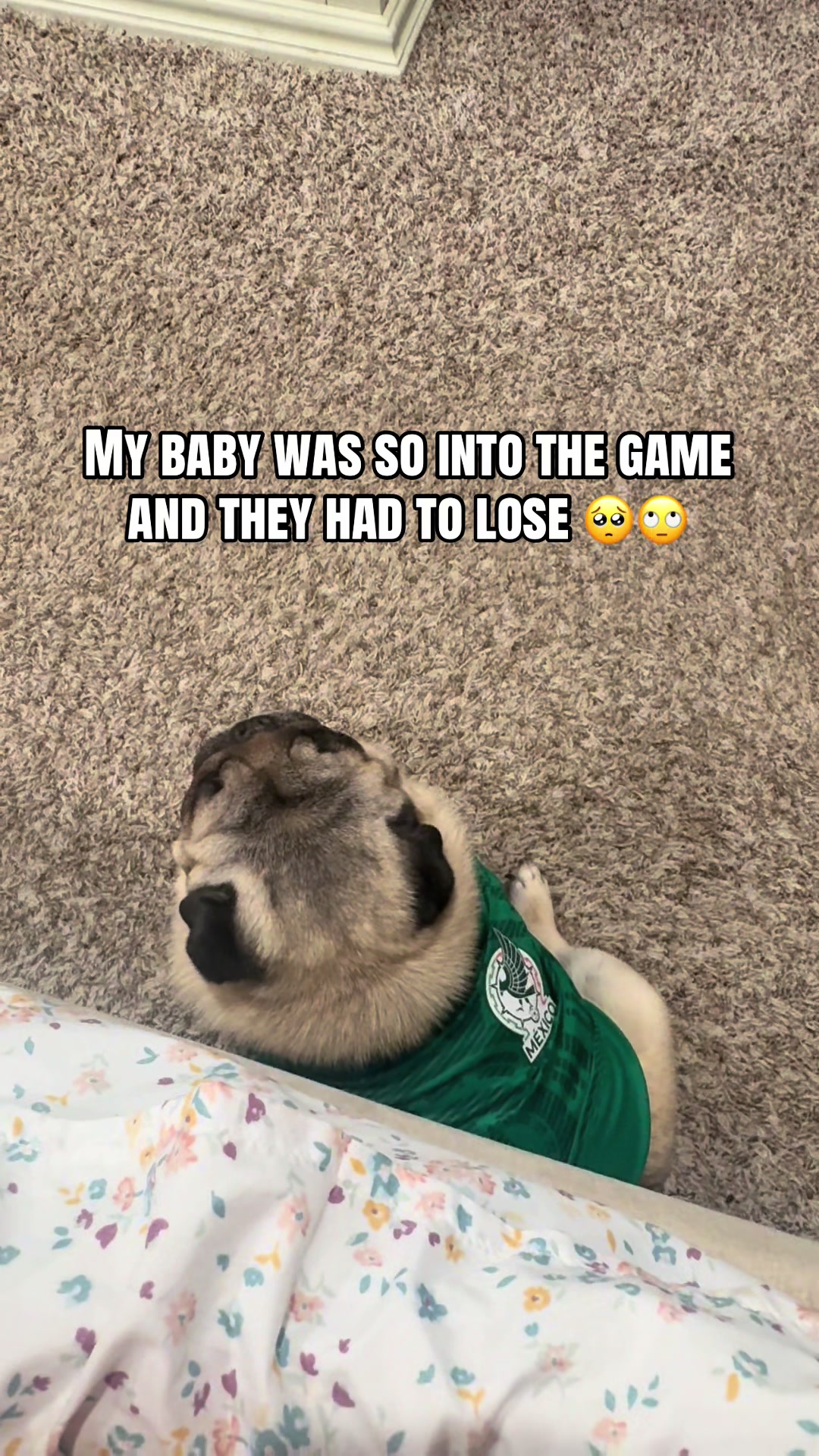 @Rocki the Pug ๐ถ