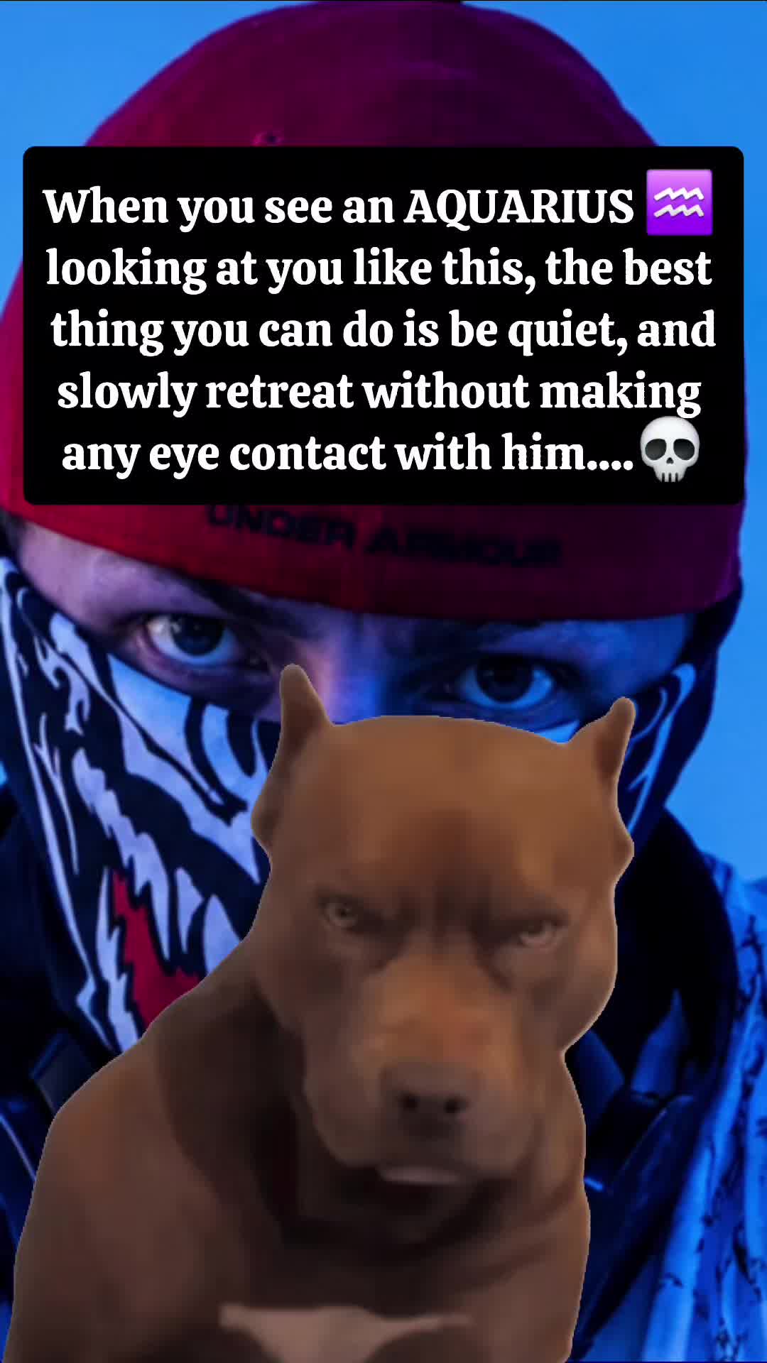 @⫷🂡♠🂡⫸