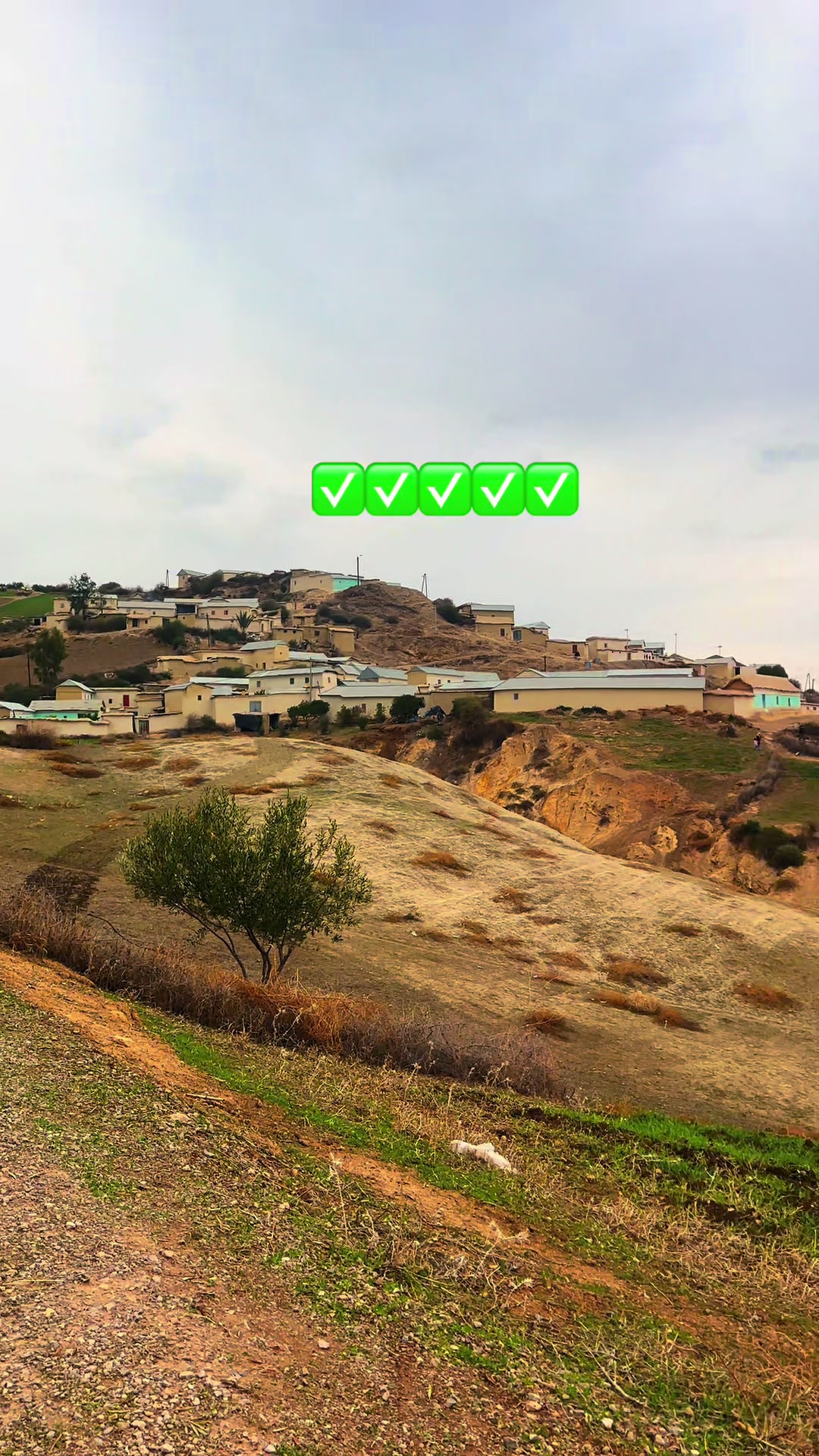 @كونووووز