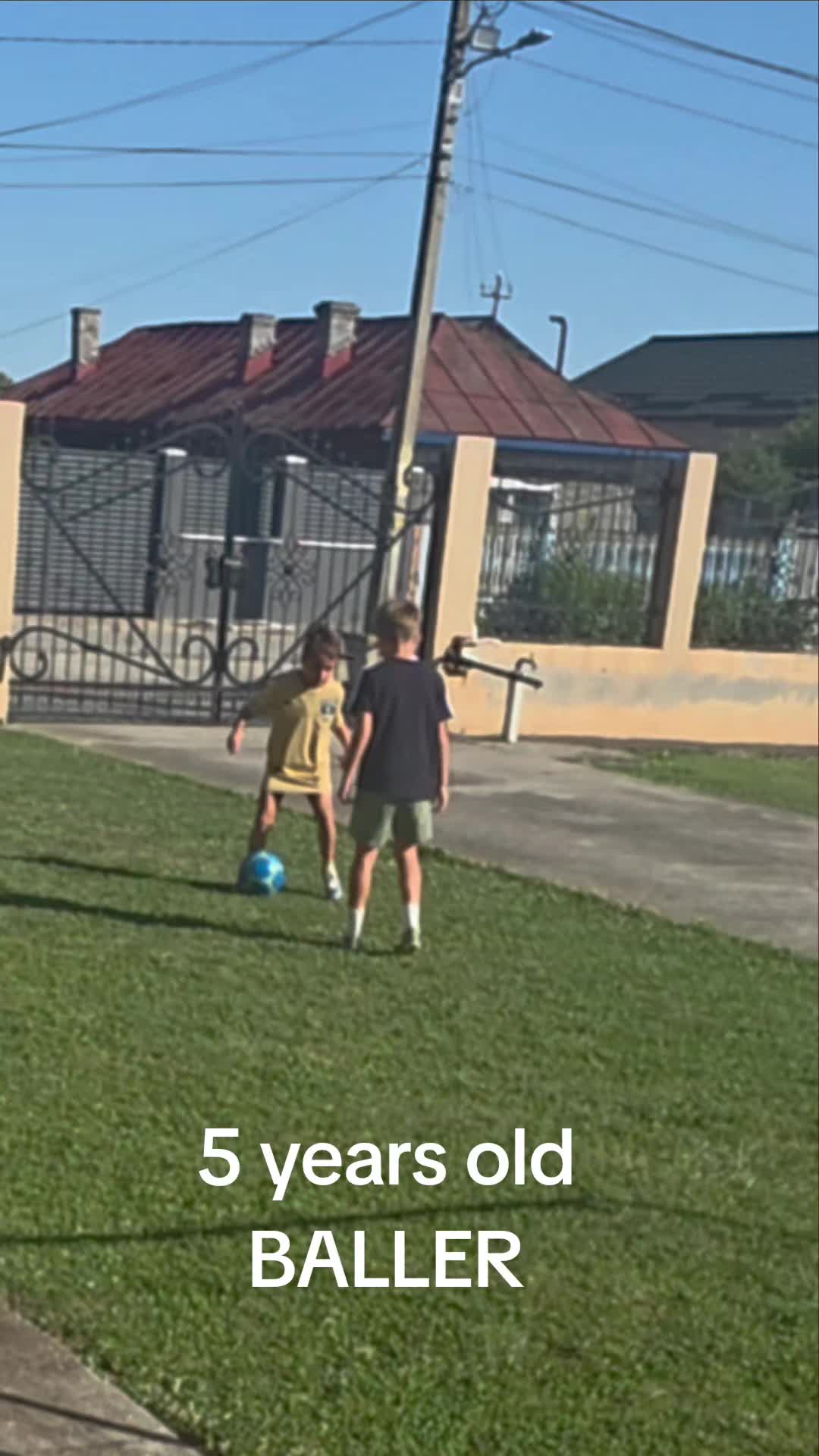 @Zian Leuţul Sudului