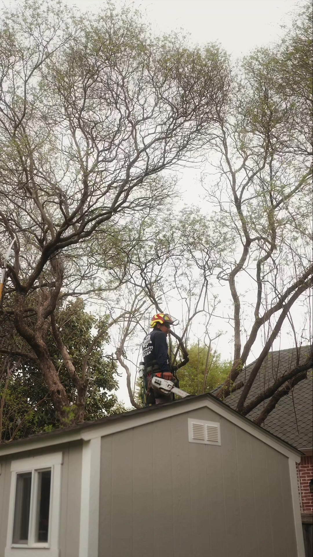 @SPTreeService