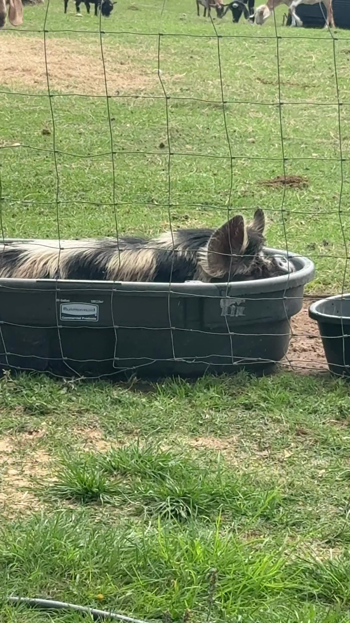 @Cog Hill Farm