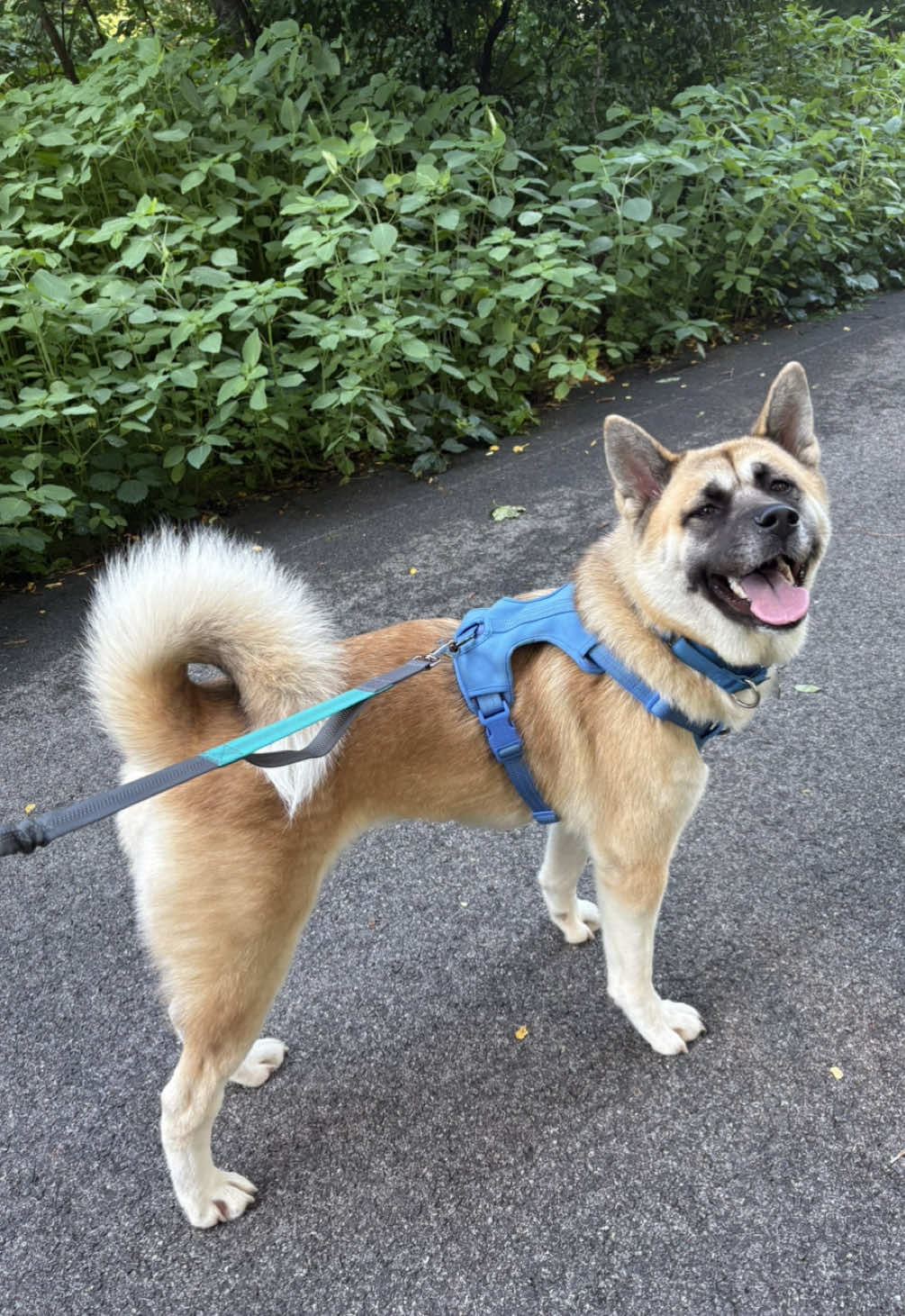 @Jeanny | thriftedNthreaded