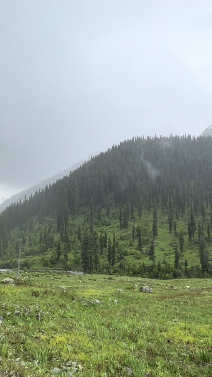 @Dilshad afridi