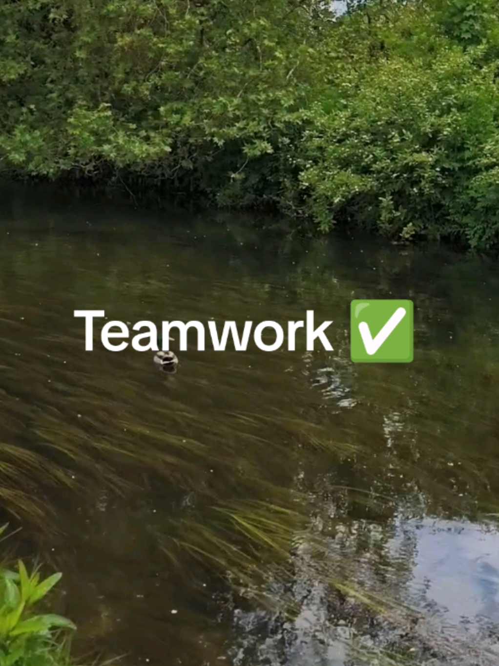 @Teamwork