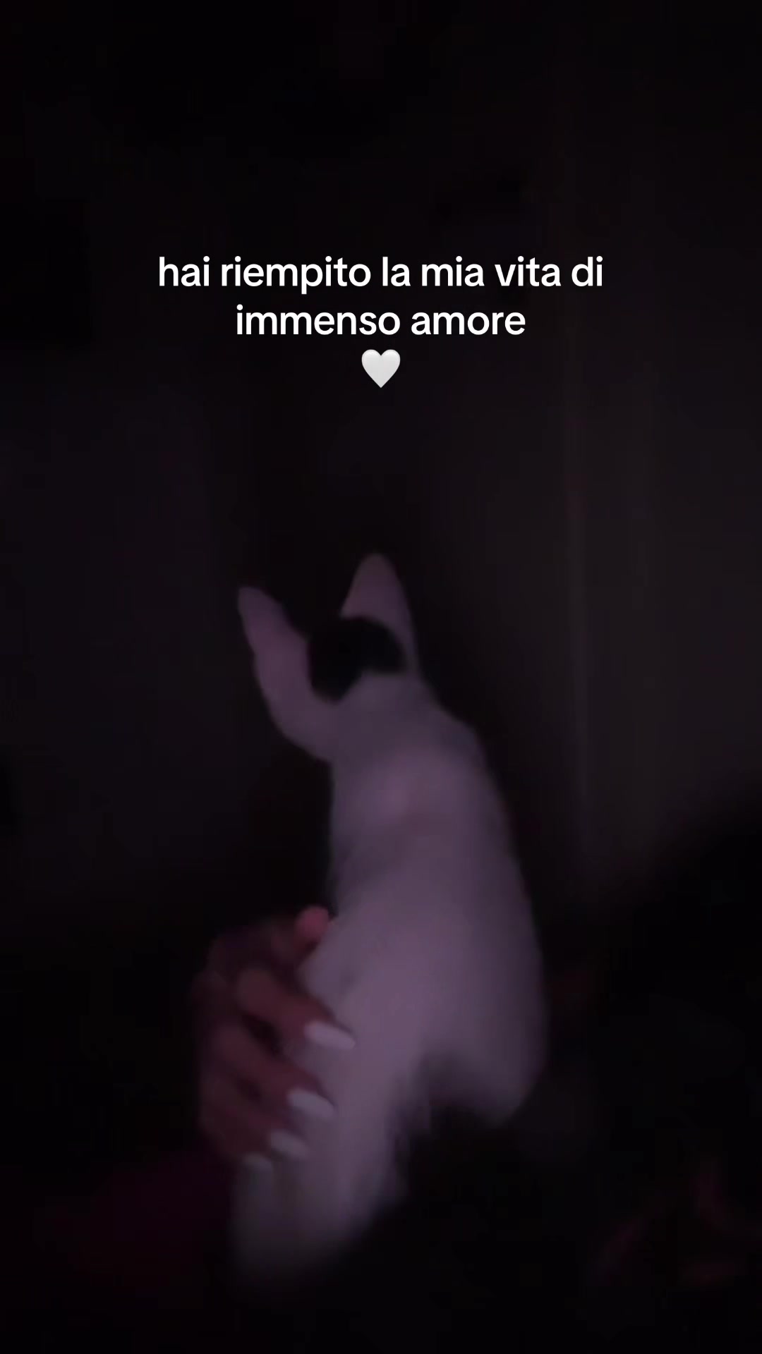 @𝐁𝐞𝐛𝐞𝐜𝐢𝐭𝐚