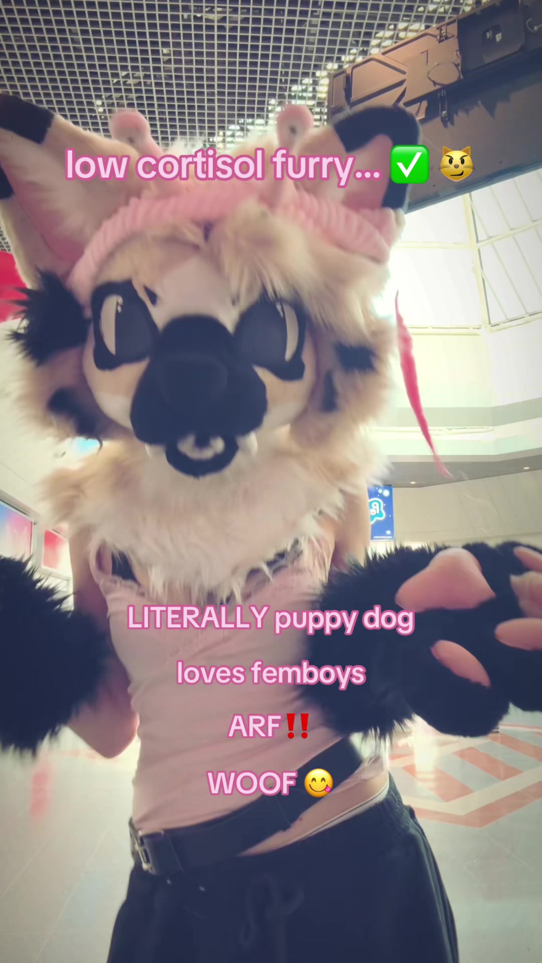 @☆ ᠻꫀ᥅ꪖꪶ ☆