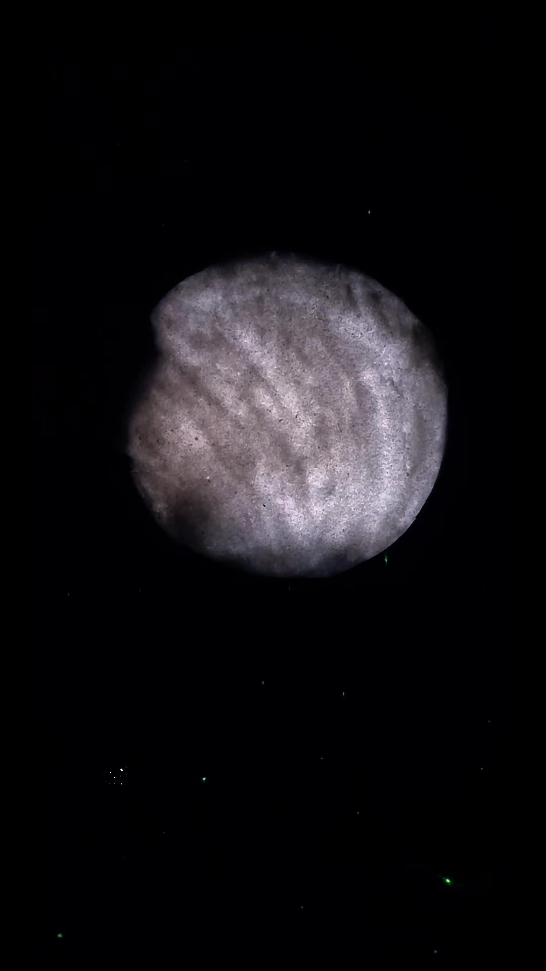 @بنتك ياليبيا 🌗