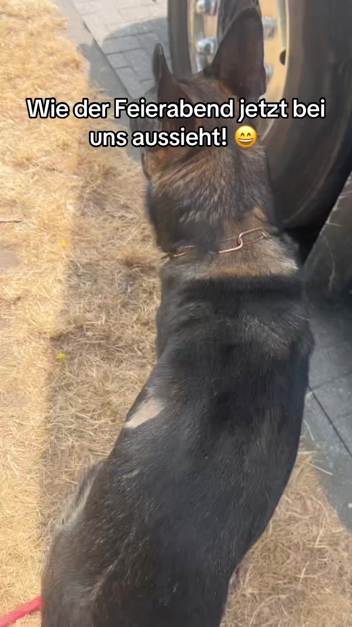 @Schotterprinzessin