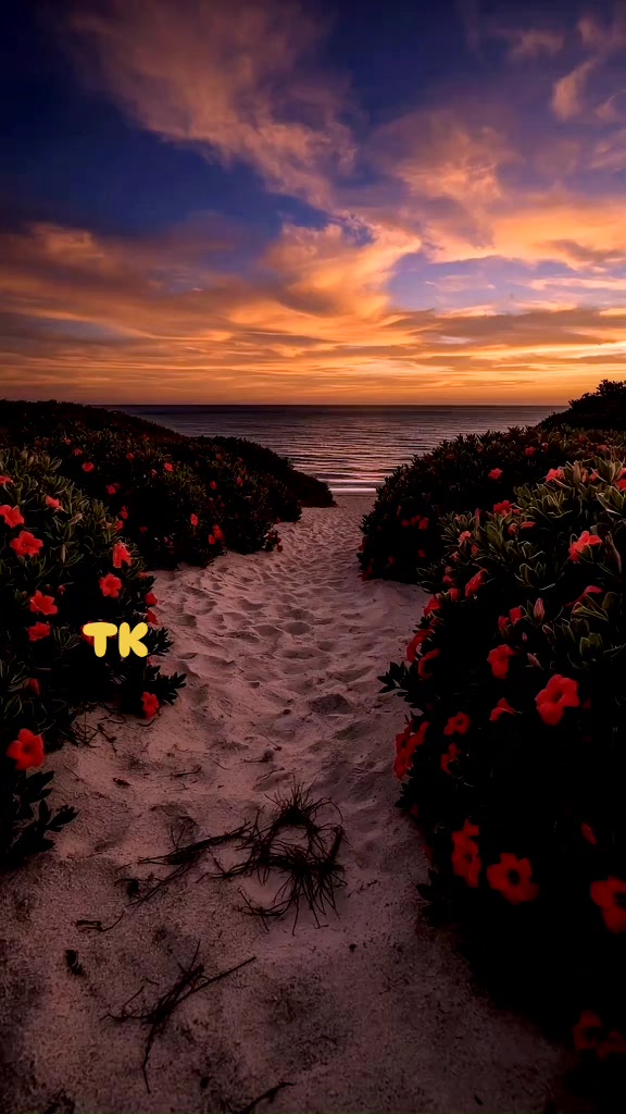 @❤️ TK ❤️
