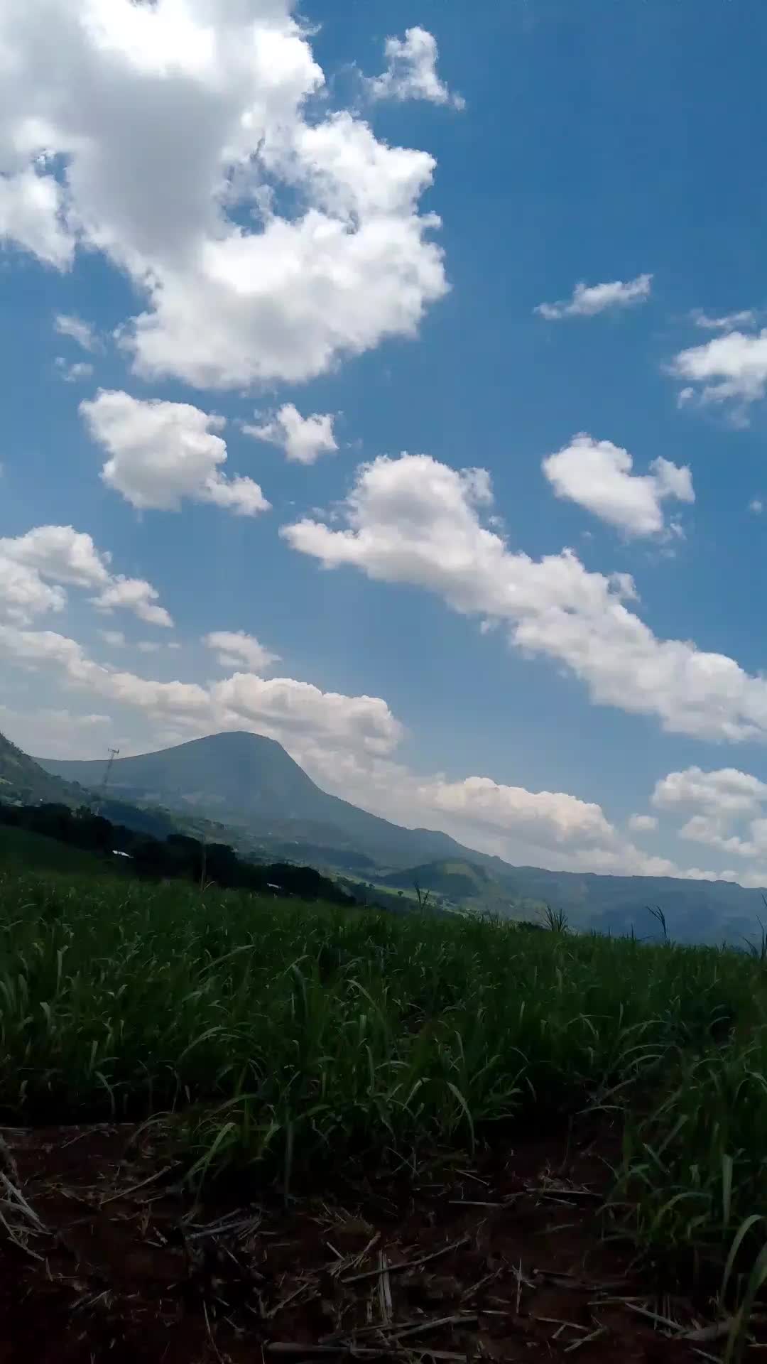 @Chikkis ✨