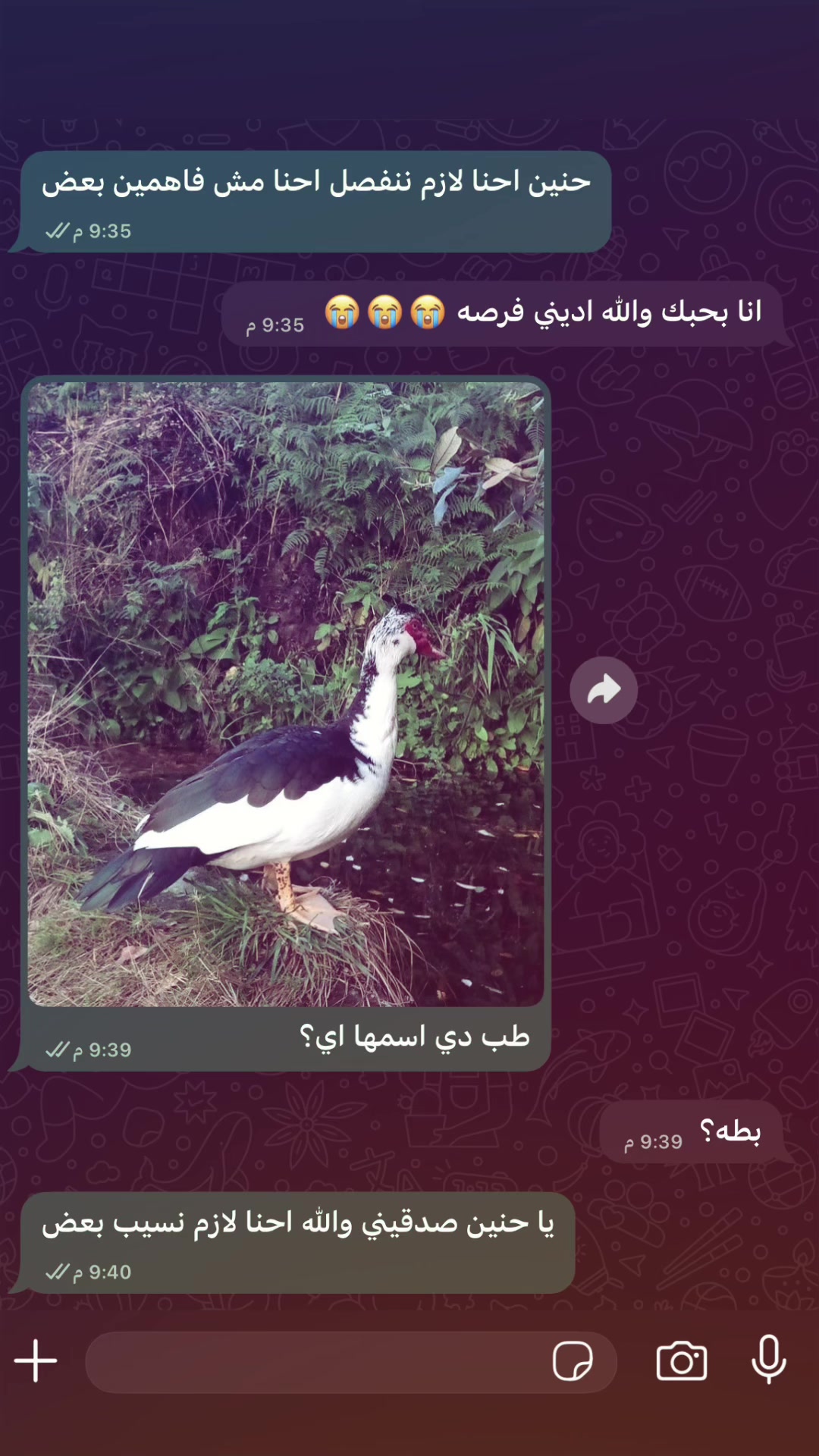 @﮼الدباح🤪
