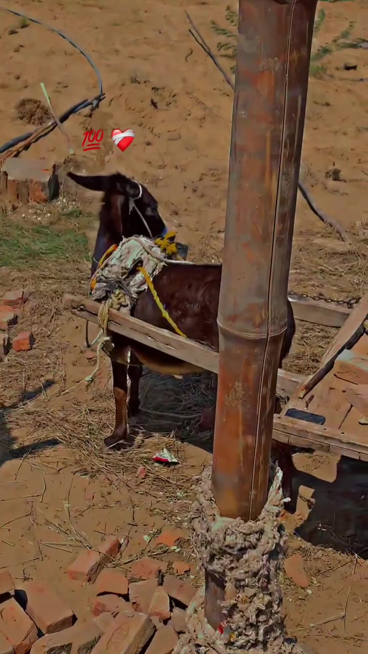 @عرفان کھوکھر