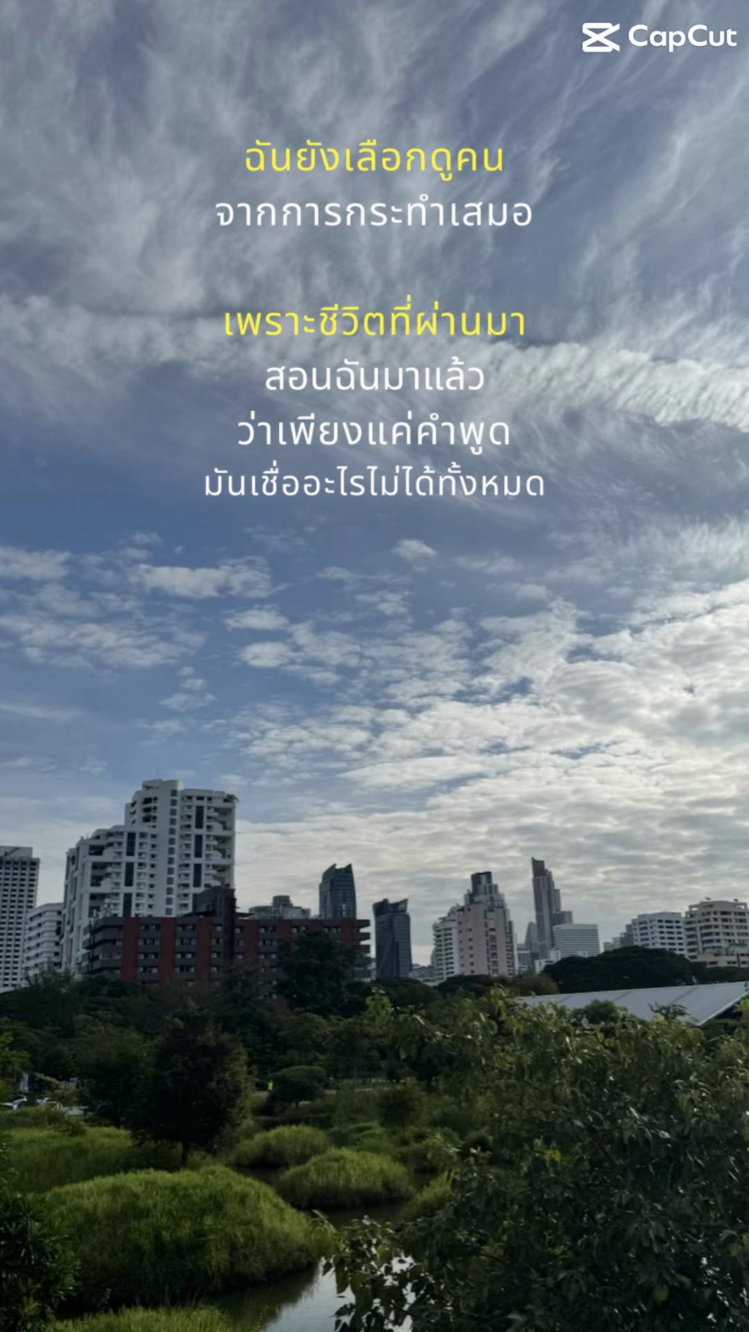 @View.P