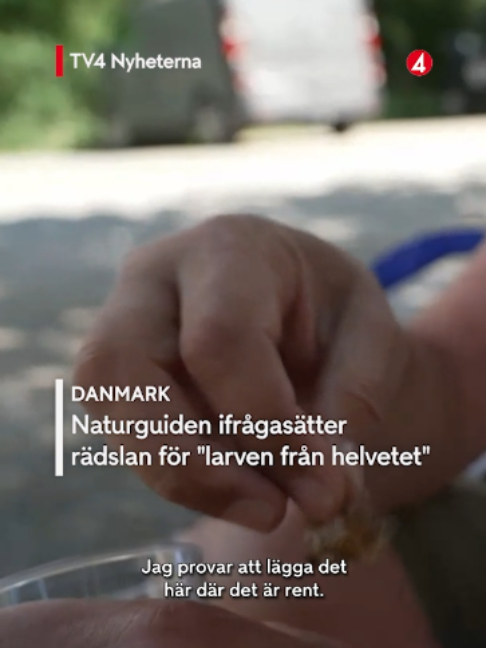 @TV4 Nyheterna