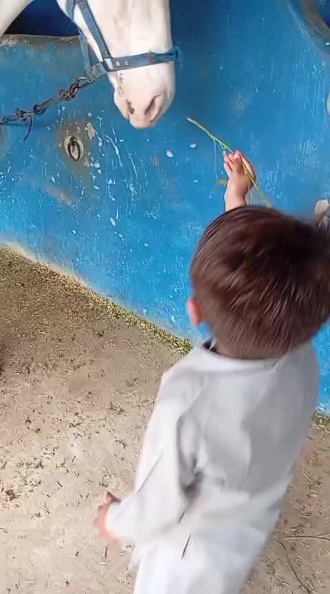 @majid Ƙàțàřîŷå