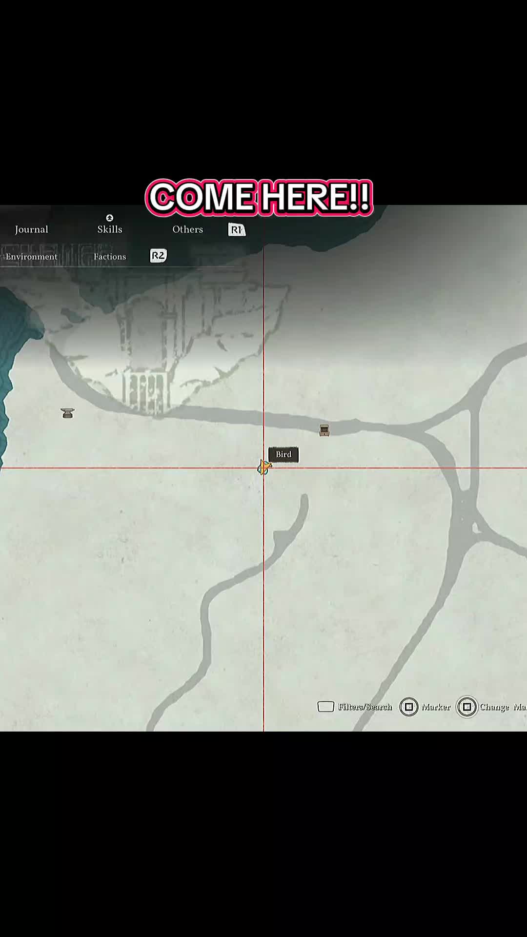 @EliteGamerLounge