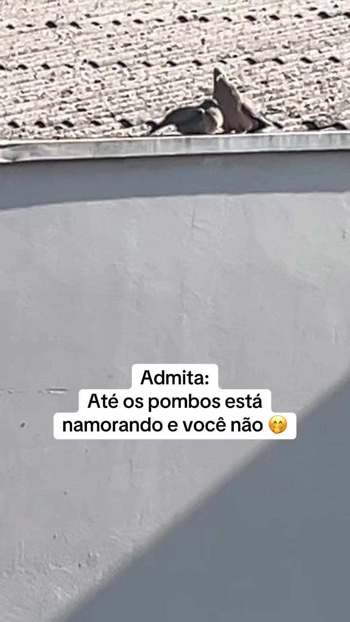 @Clipes e &aacute;udios