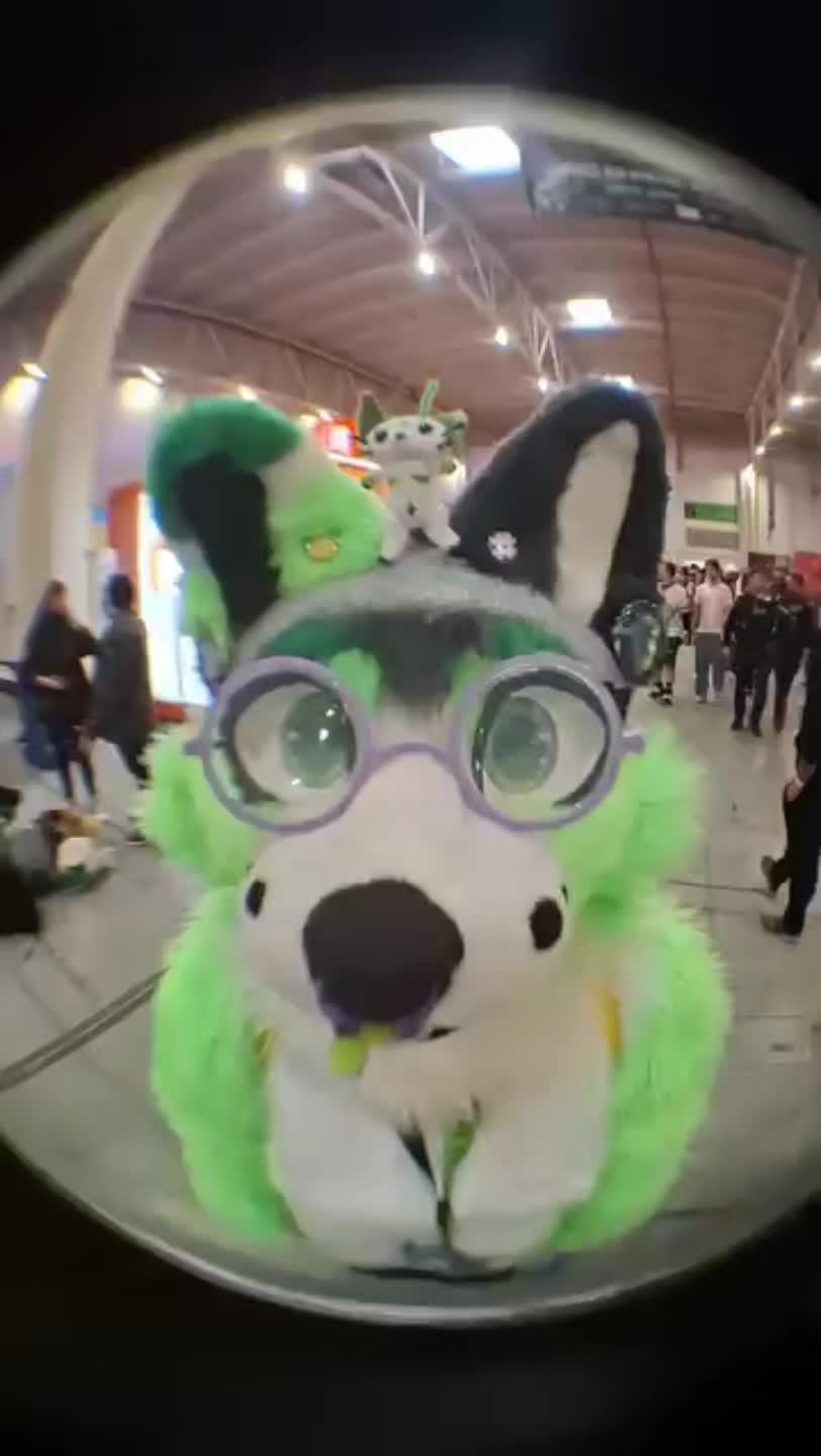 @🦌🇷🇴Yara_wolf🇷🇴🦌