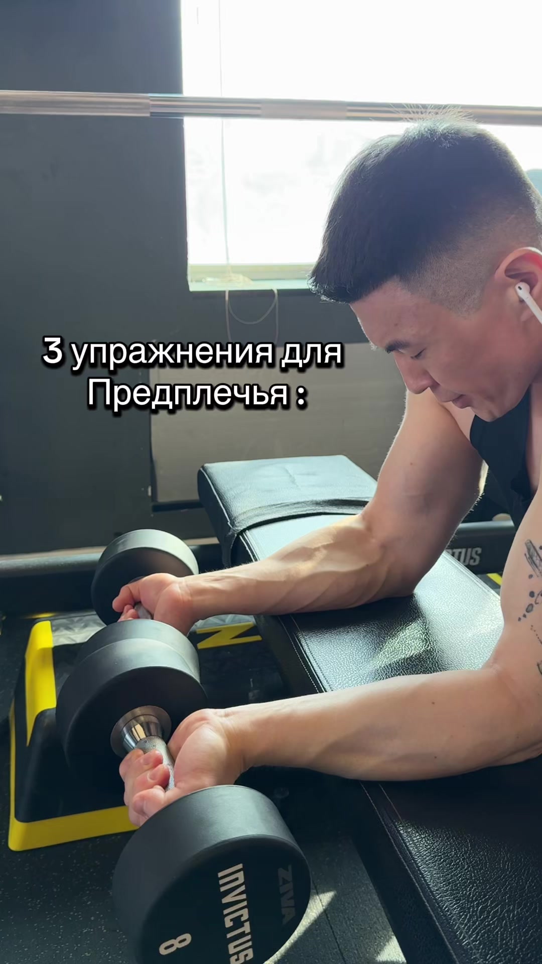 @pro100fitnessist