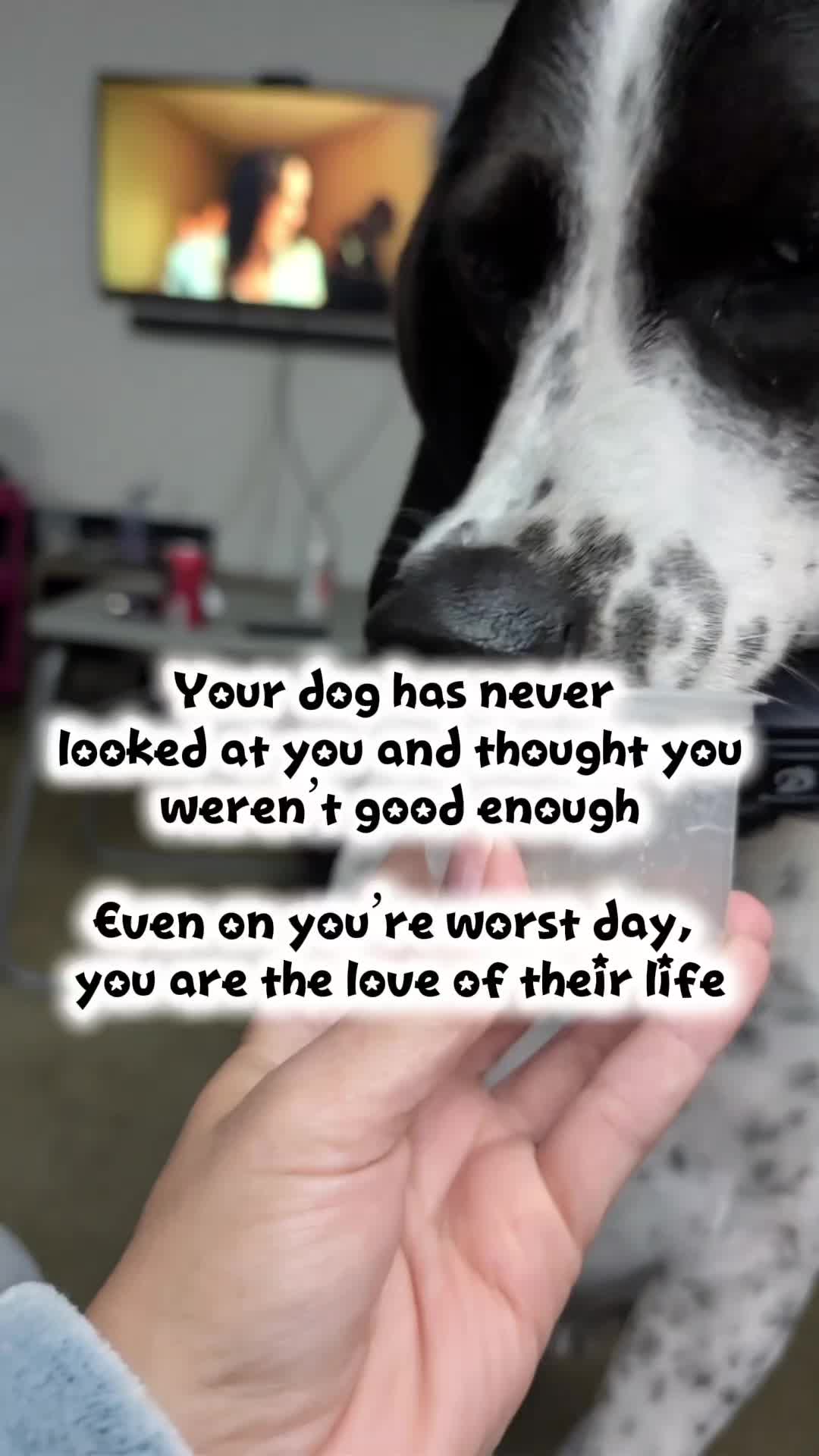 @Aimee Nicole Brown