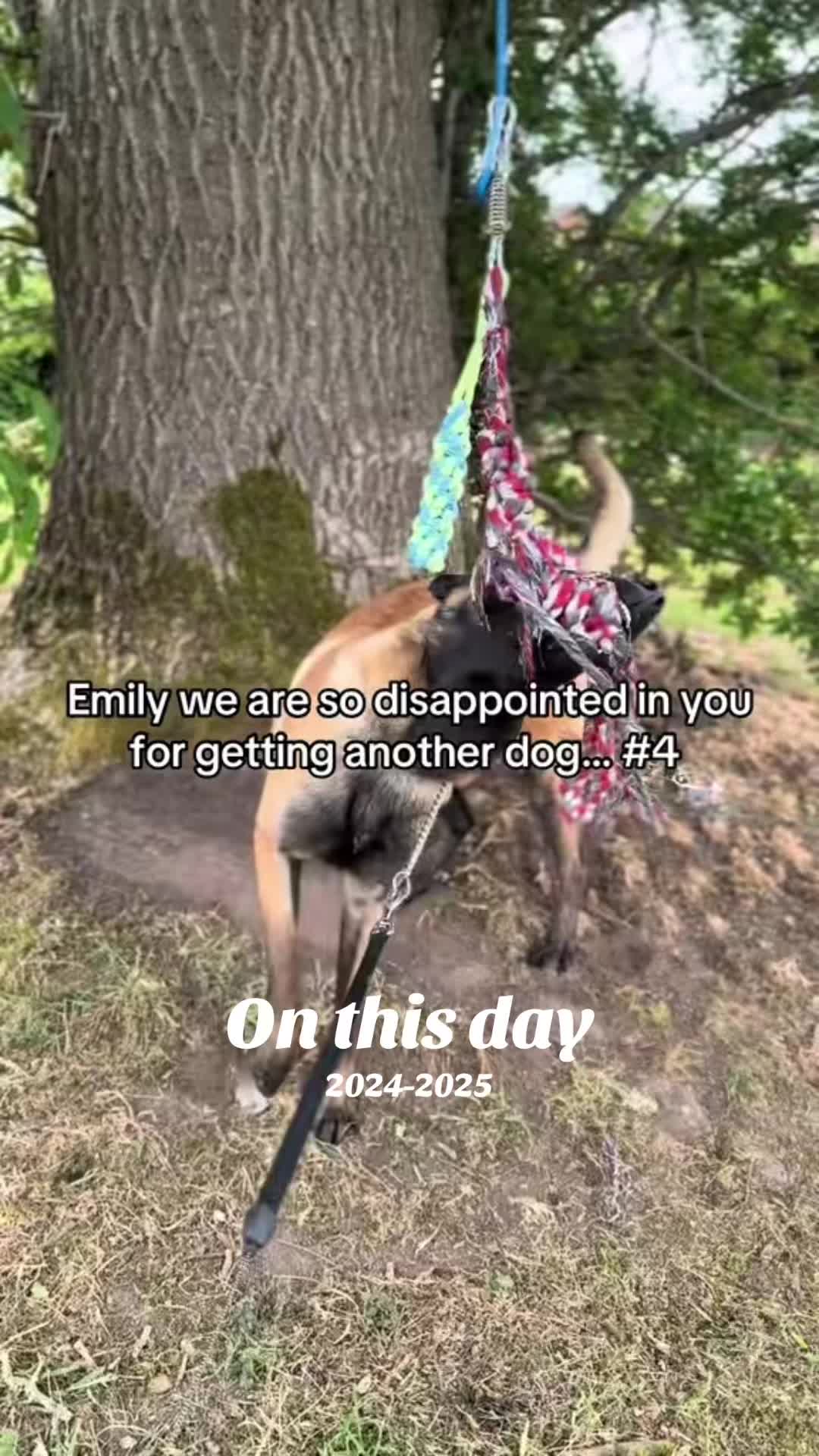 @BpdEmily87💚