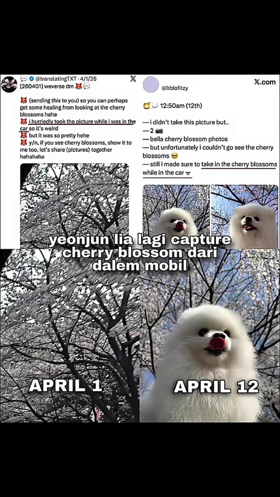 @ji