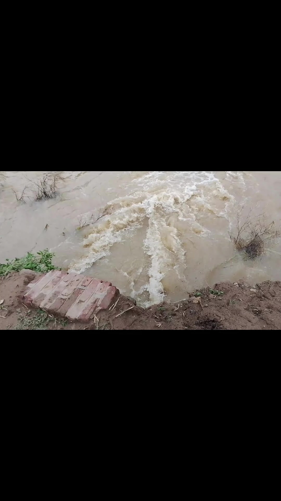 @Tayyab Goraya