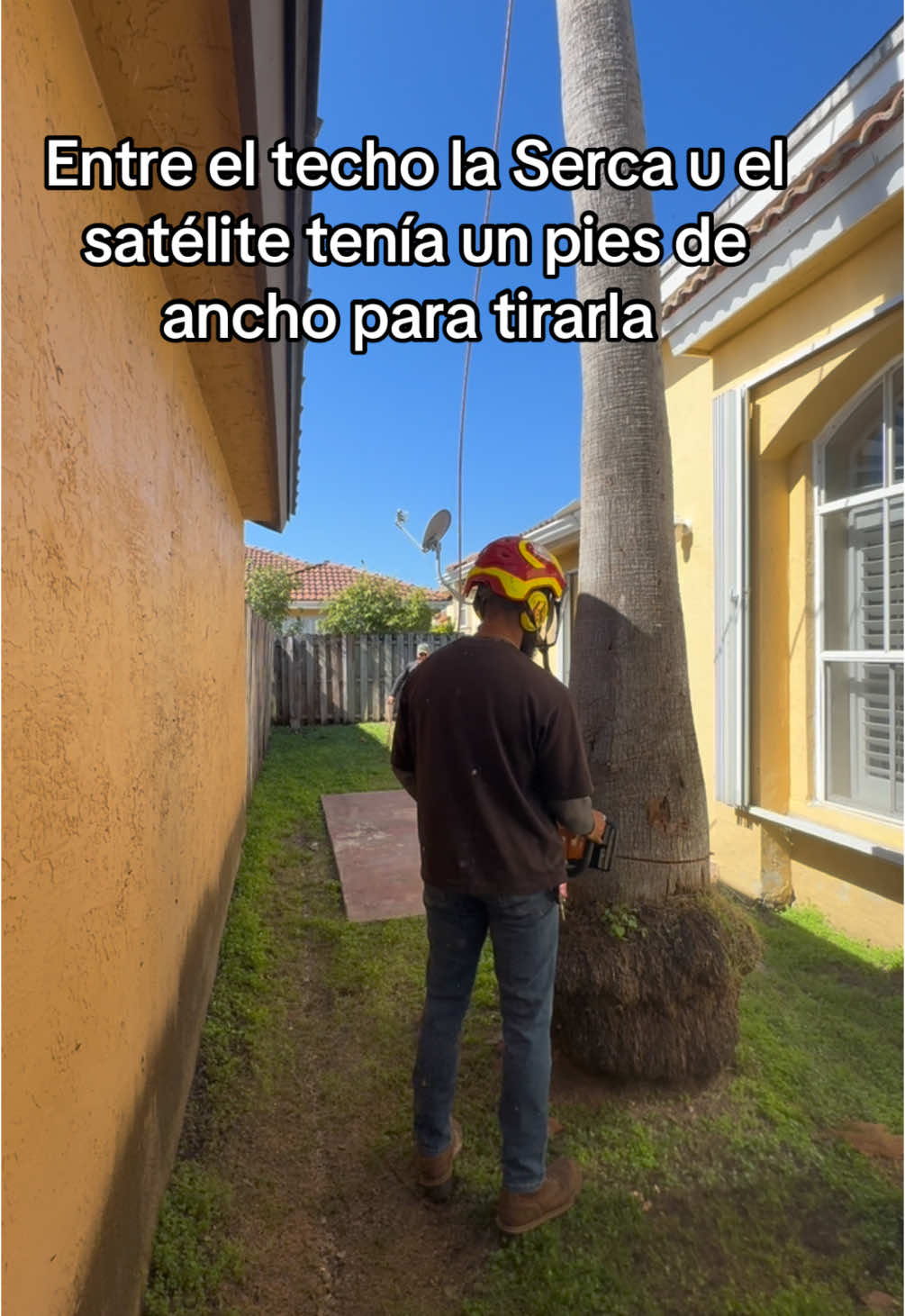 @Franco Tree Service Pro