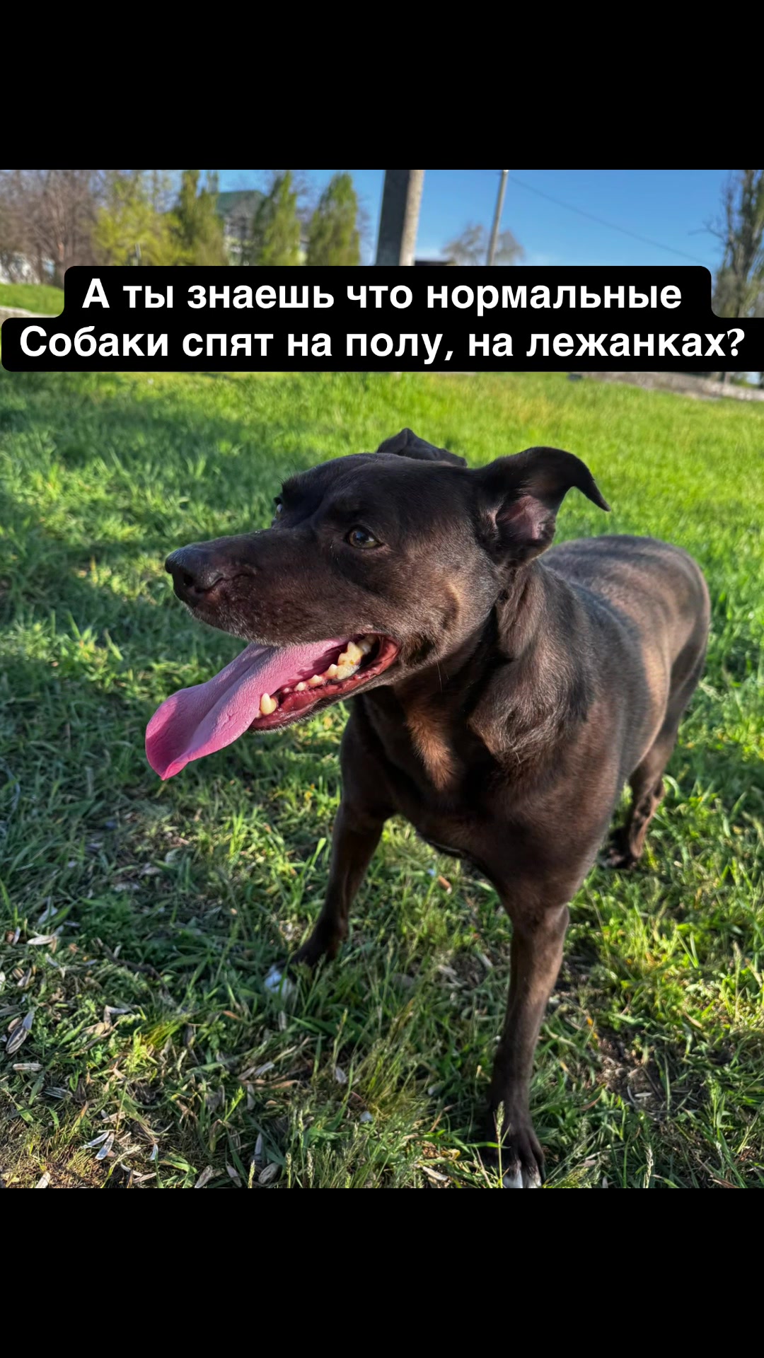 @Леночка Яртымик