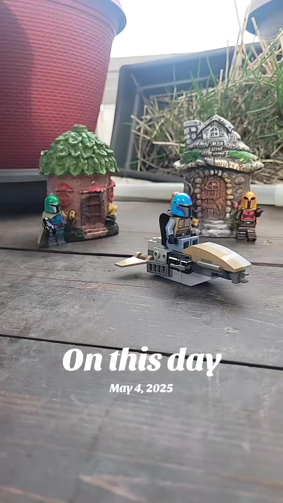 @SonnywithachanceofHurricane🌞