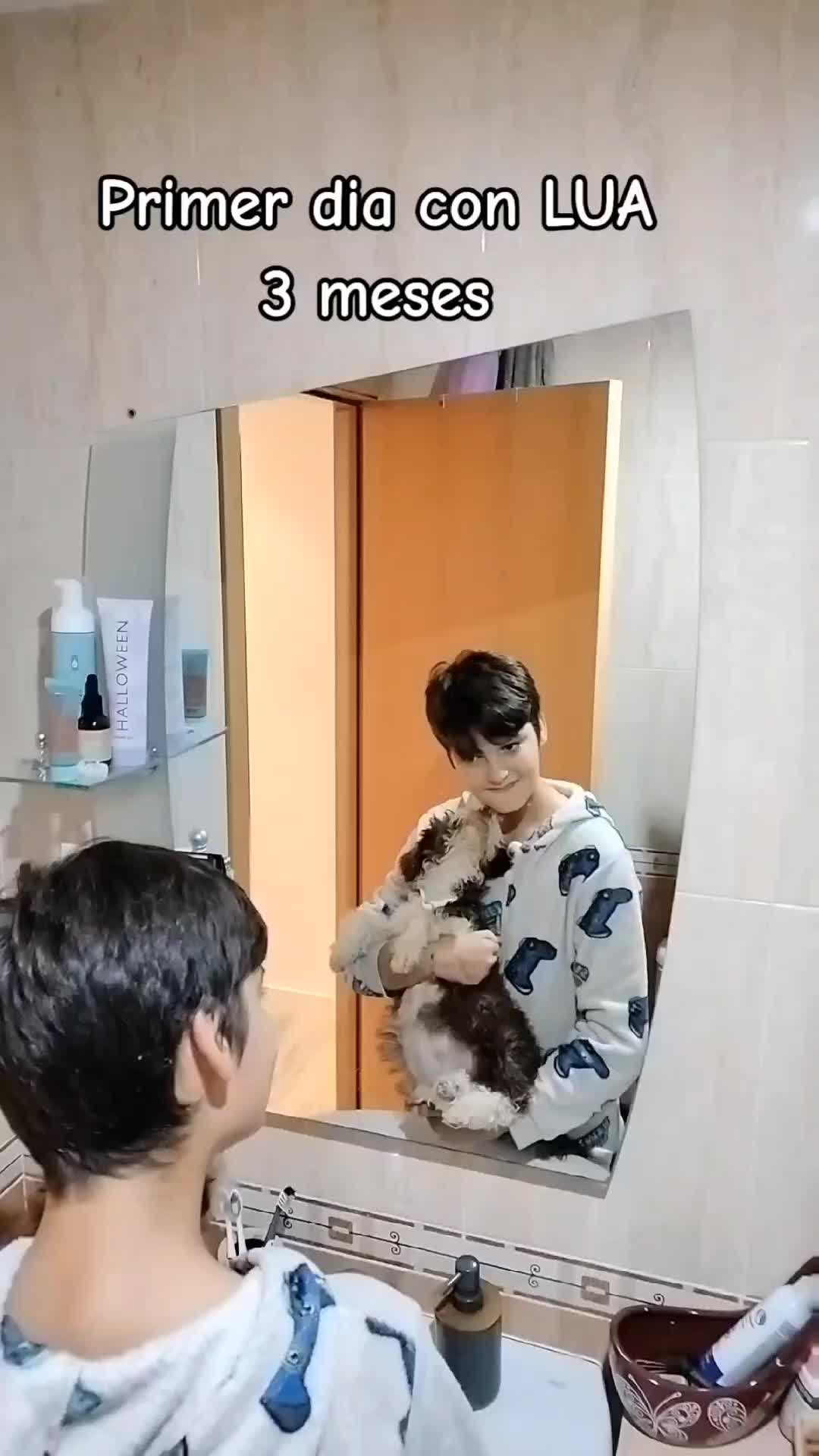 @Lua Suan