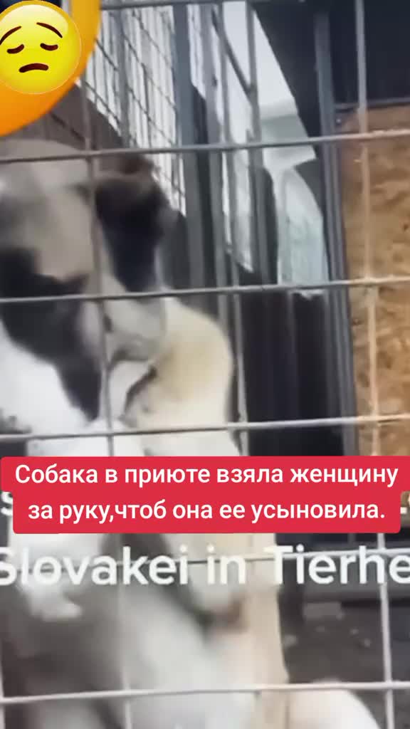 @S.М.