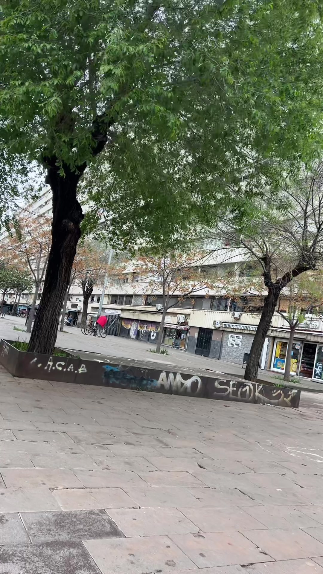 @Ale Berón