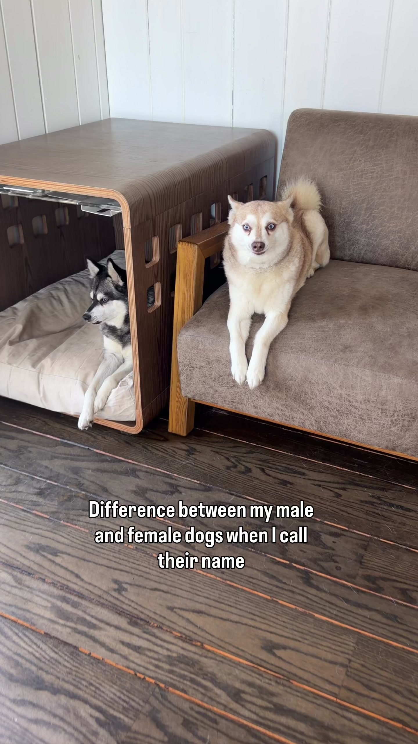 @lifewithkleekai