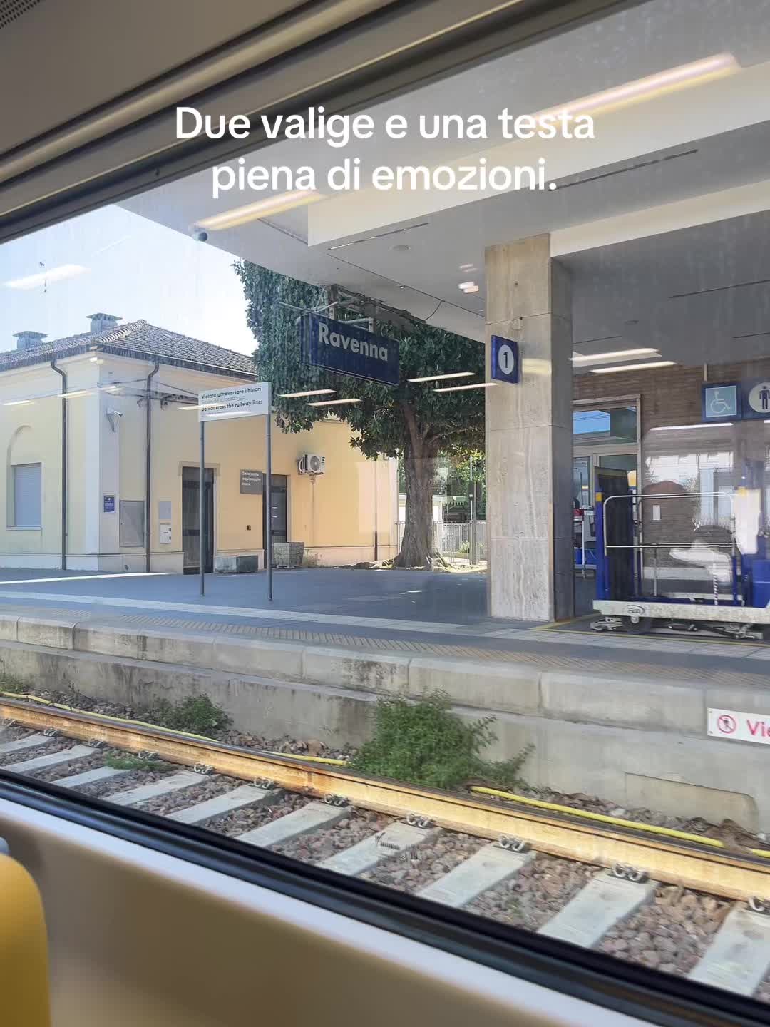 @Martina Falci506