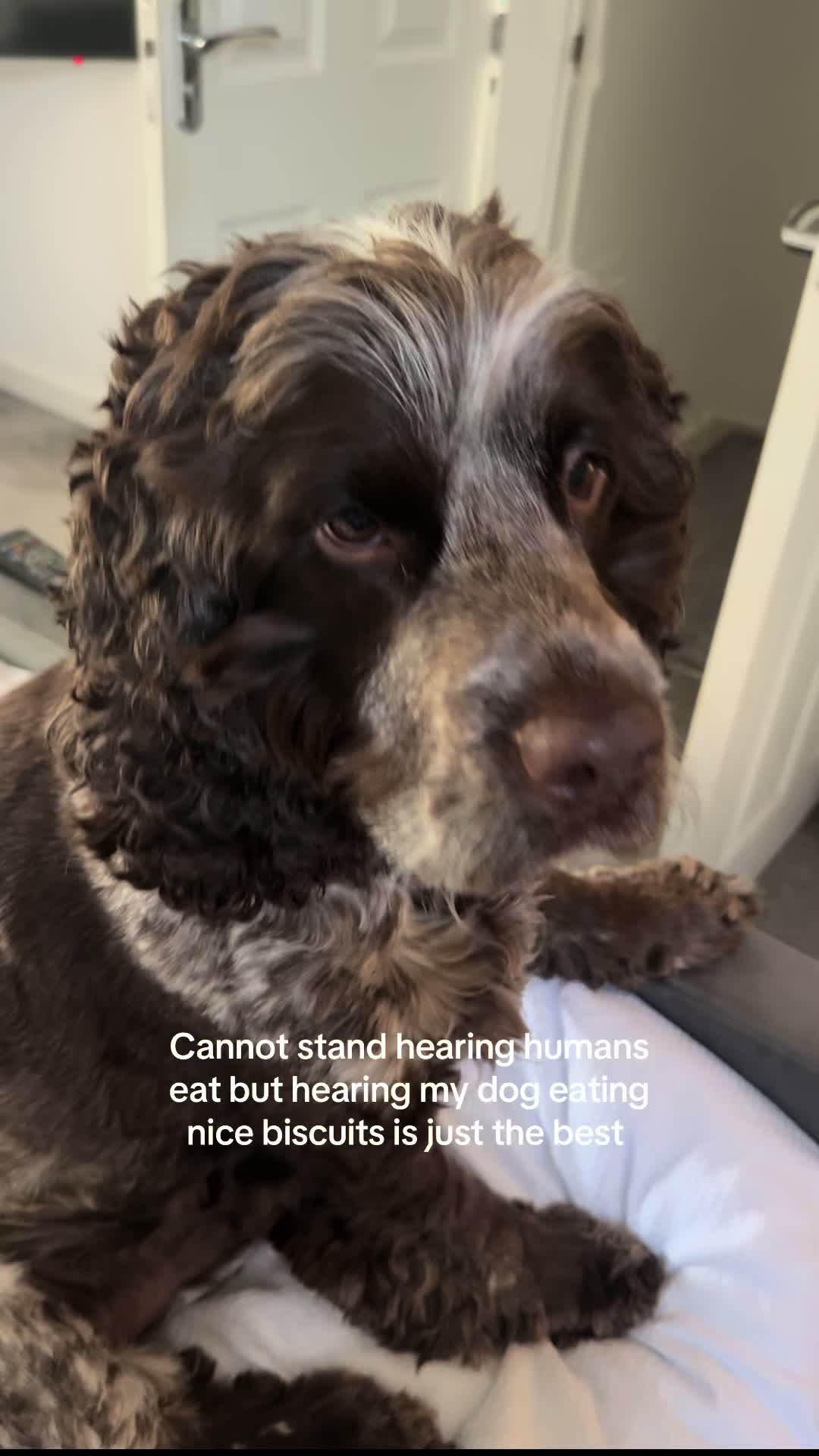 @jonboys_losingit