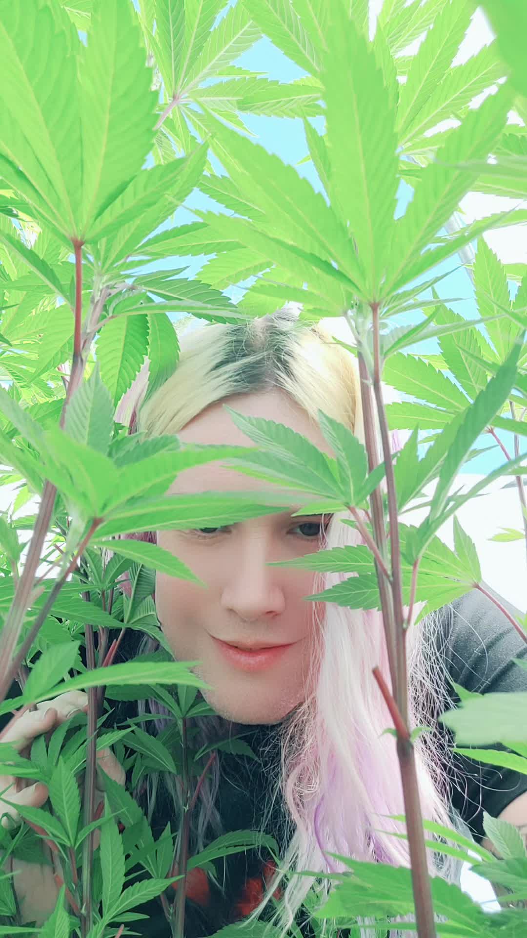 @IamJasmineLily