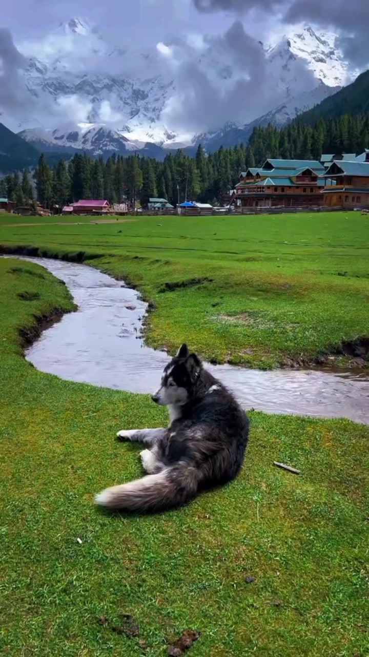@travel_gb_tour