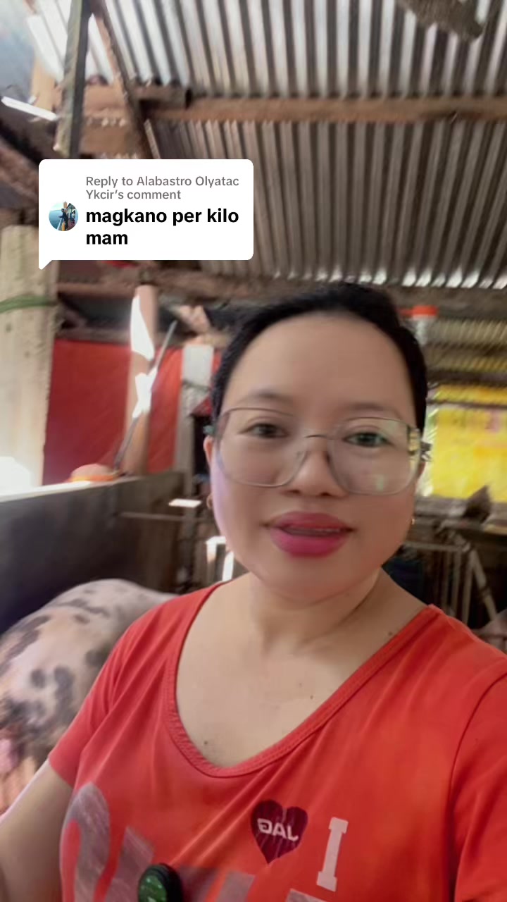 @Marj Pig Farm Vlogs