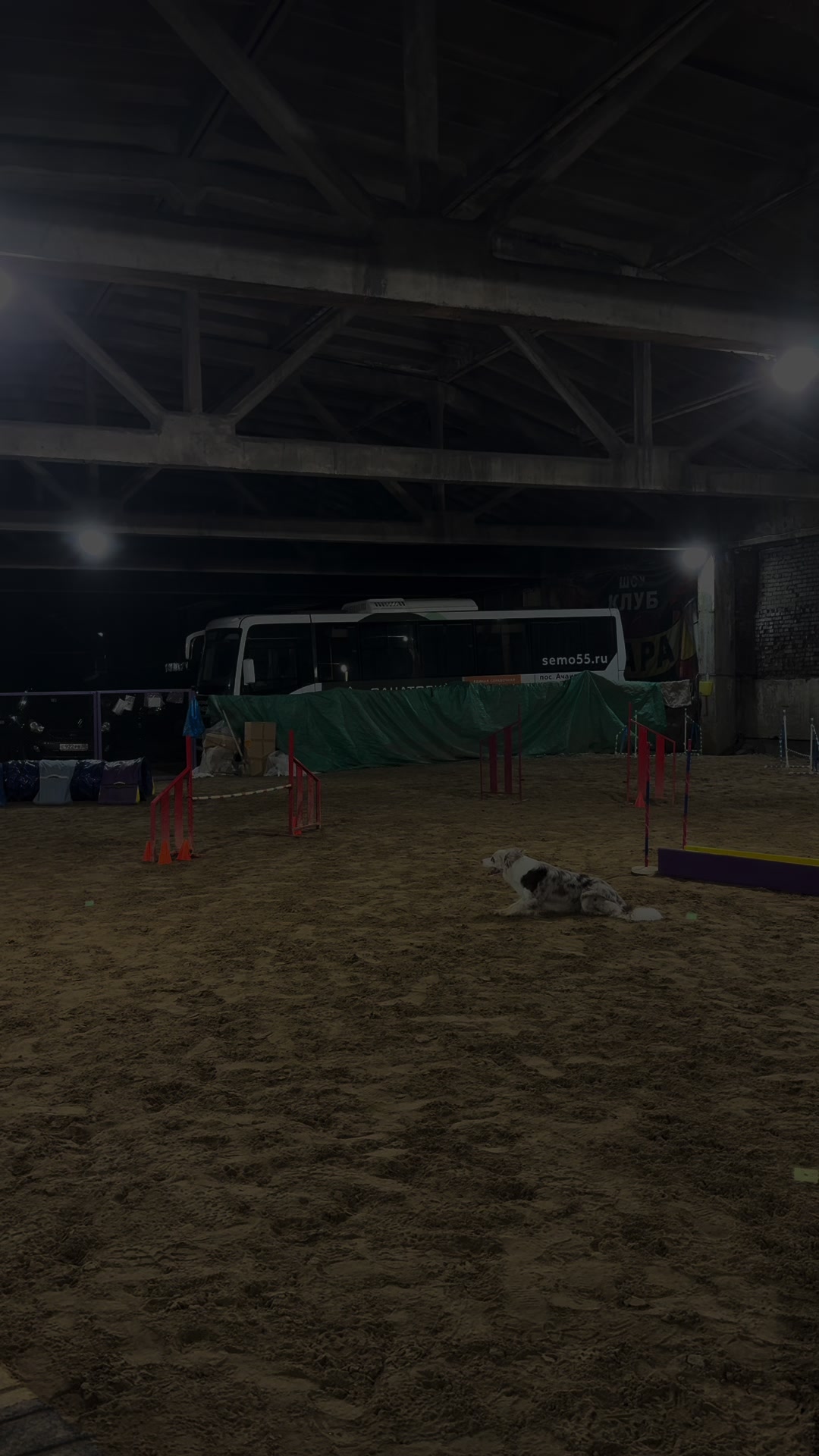 @Тгк: ⚡️🐾Хвостатый мир🐾⚡️