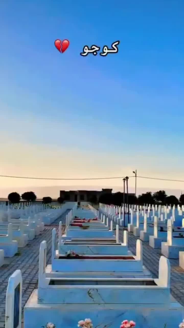 @Ezidxan 24