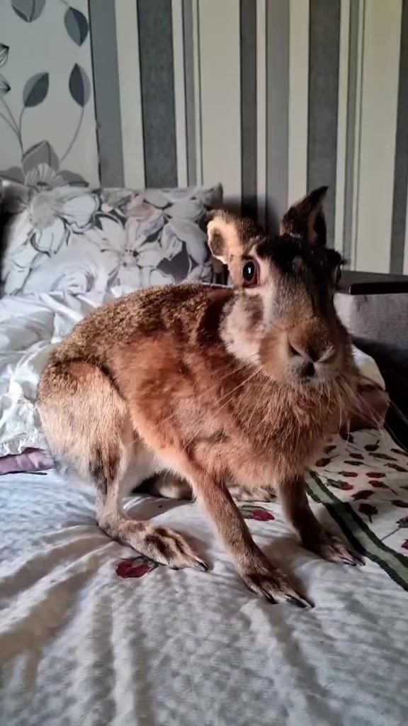 @зайка Блума💋