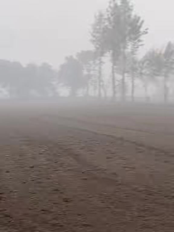@میراپنجاب🌾🌞🌳