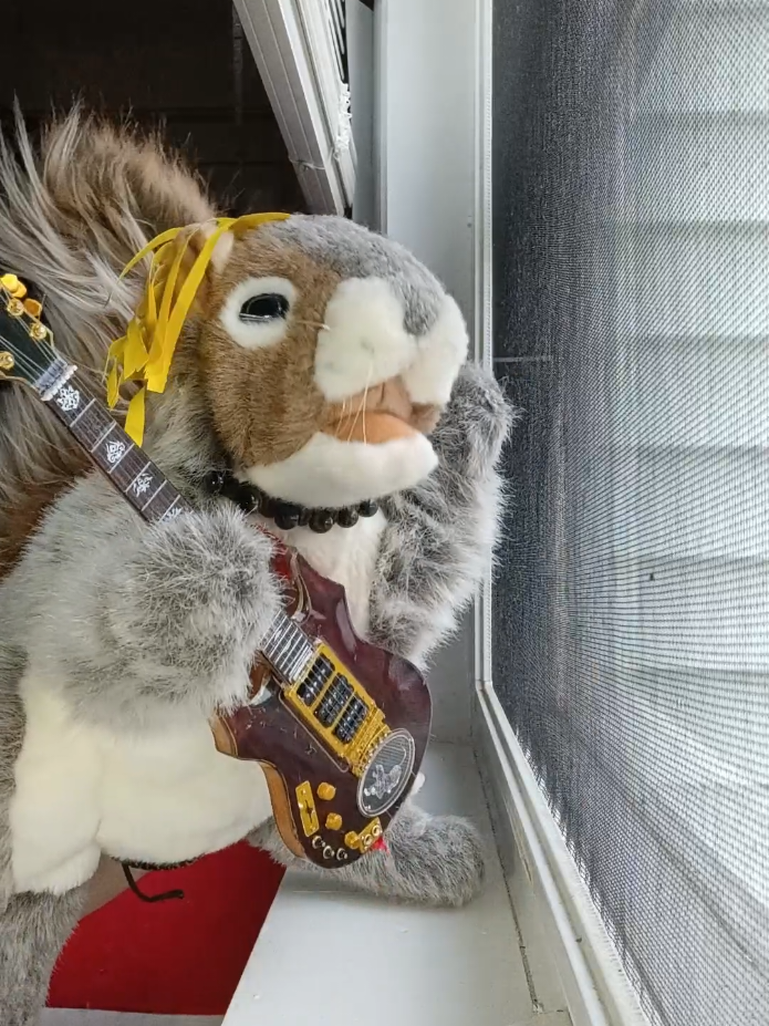 @Charles The Squirrel