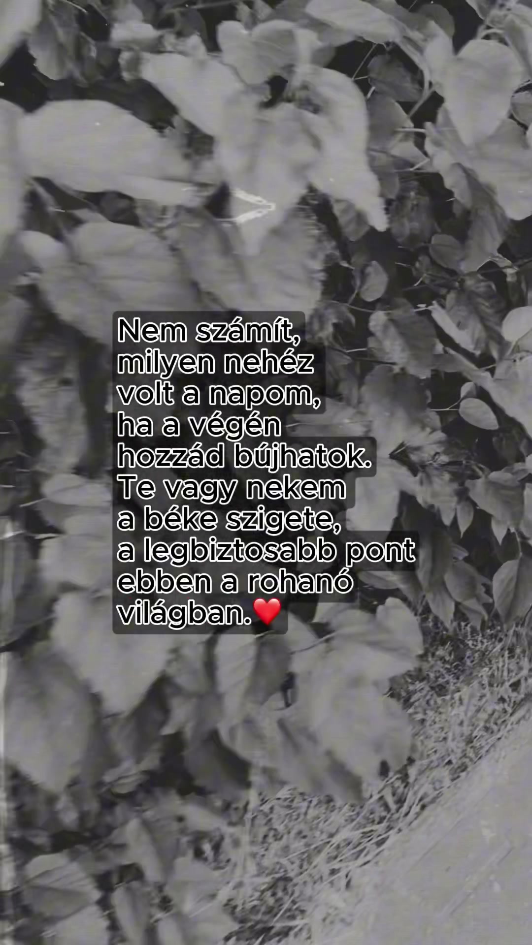 @versek_idezetek_1