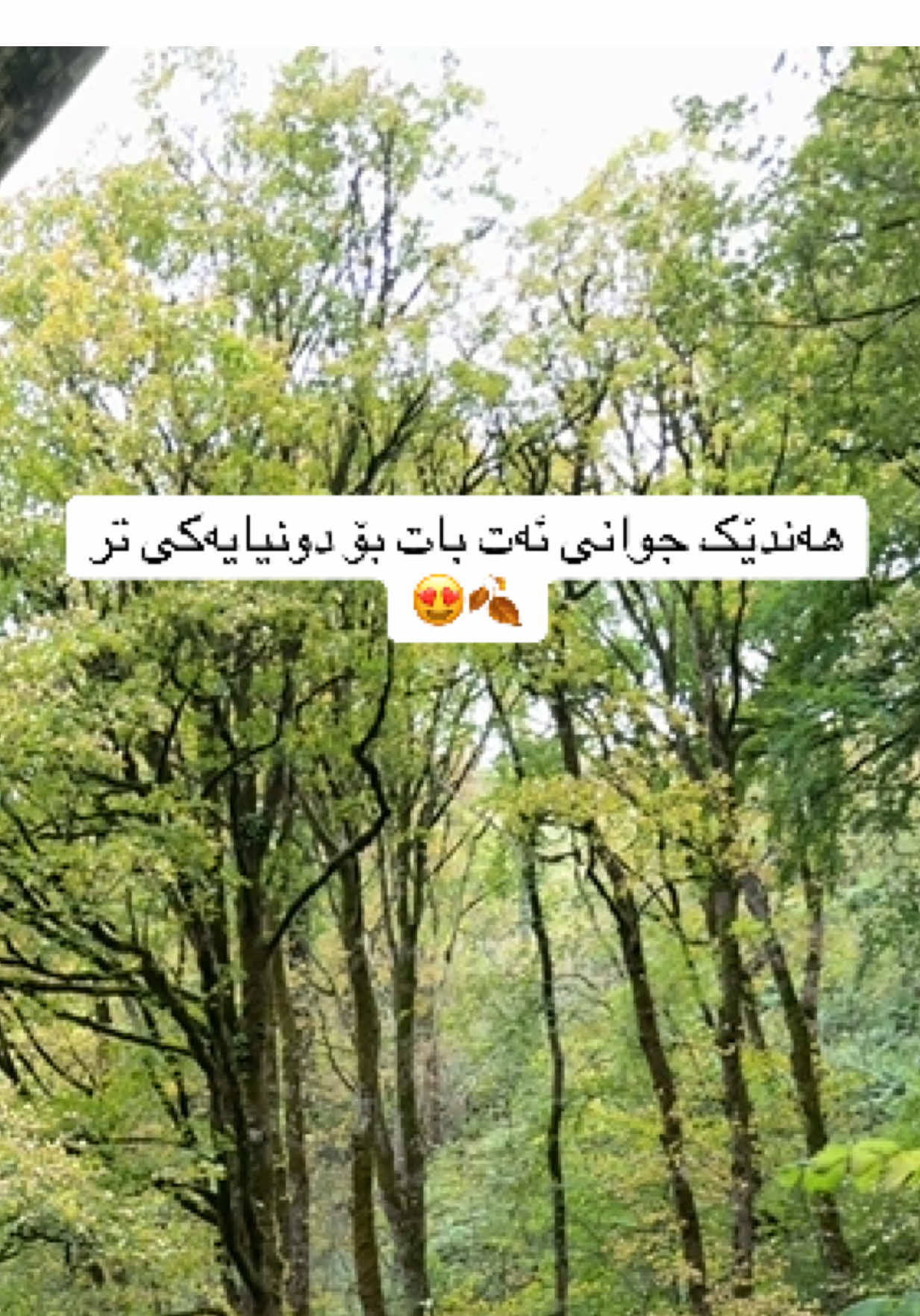 @Rozh_