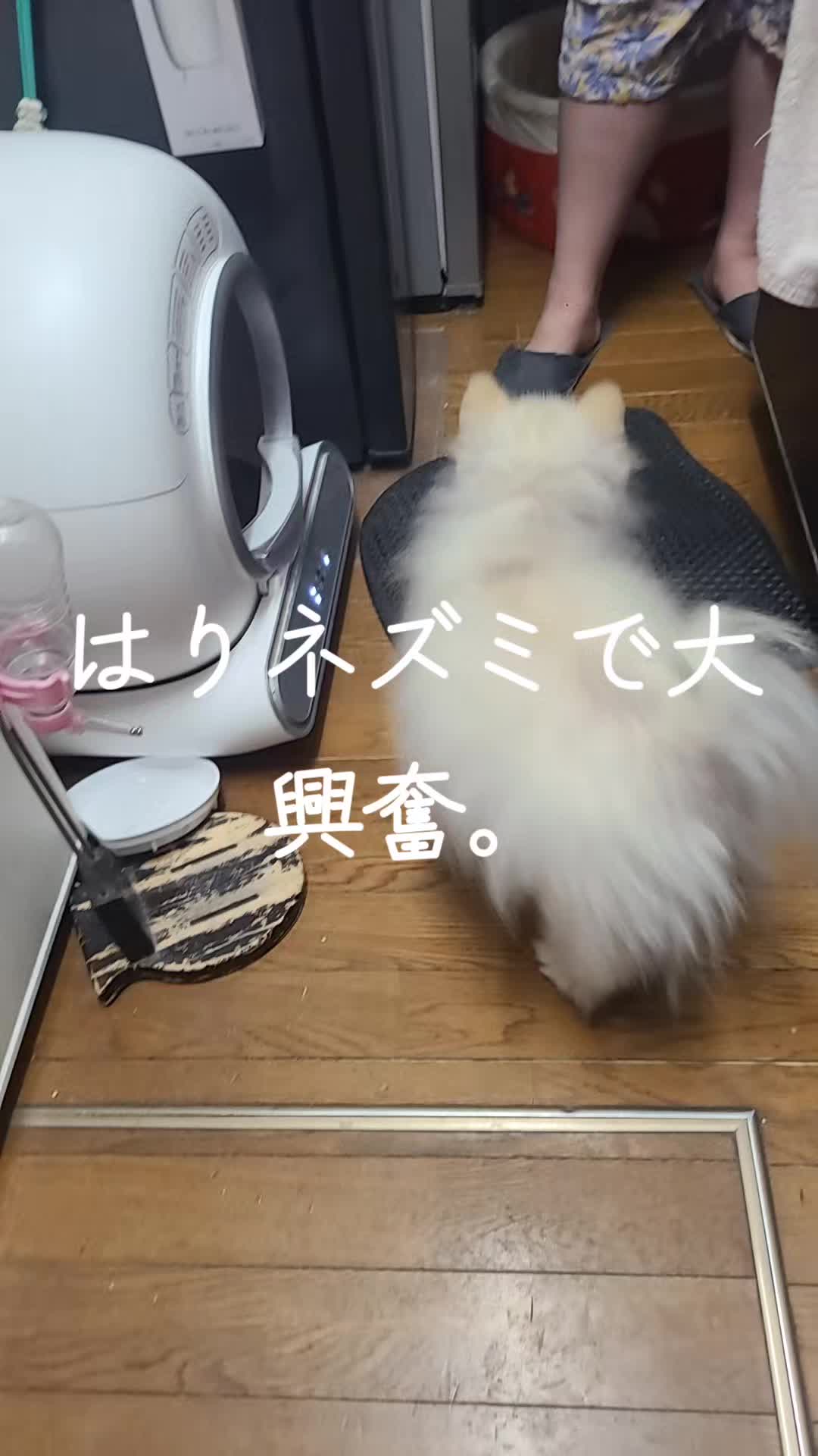 @沙亜代